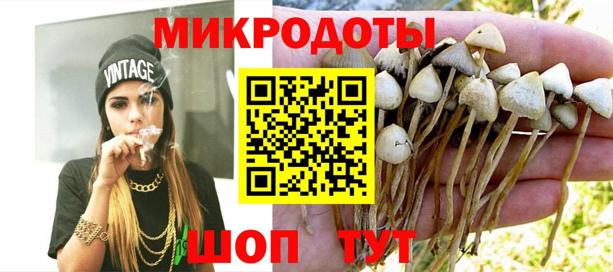 Волжск  купить   Вход с VPN  Галлюциногенные грибы Psilocybine cubensis 